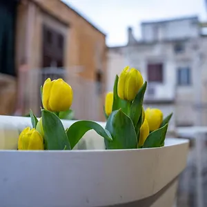 Holiday home Termini, Termini Imerese